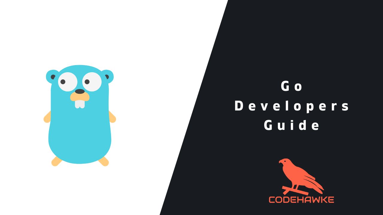 Go Developer's Guide